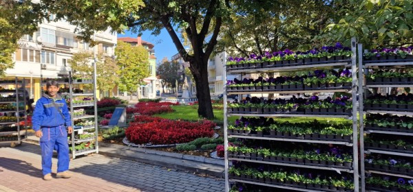 Казанлък хубавее с ново есенно зацветяване