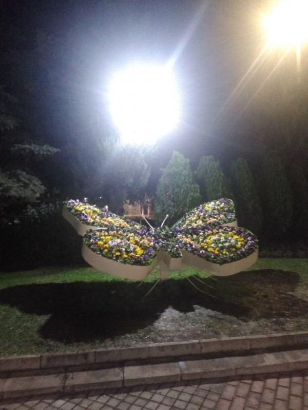 Казанлък хубавее с ново есенно зацветяване