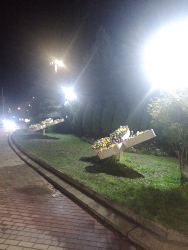 Казанлък хубавее с ново есенно зацветяване