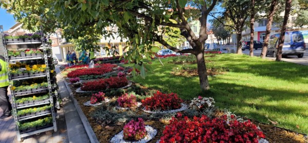 Казанлък хубавее с ново есенно зацветяване