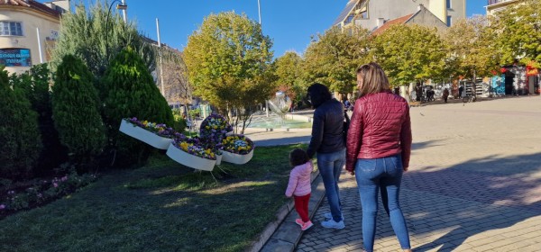 Казанлък хубавее с ново есенно зацветяване