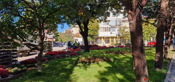 Казанлък хубавее с ново есенно зацветяване