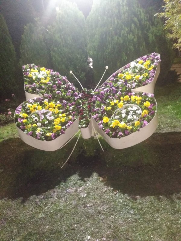 Казанлък хубавее с ново есенно зацветяване