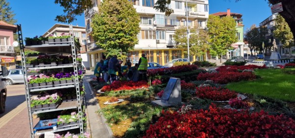 Казанлък хубавее с ново есенно зацветяване