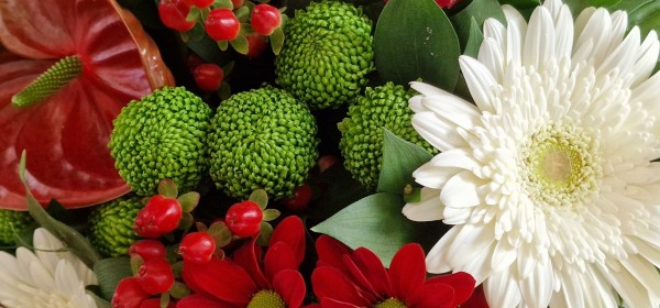 Кметът към културните дейци: „Казанлък има своя огромен дух и туптящо сърце, което се поддържа от будителите!