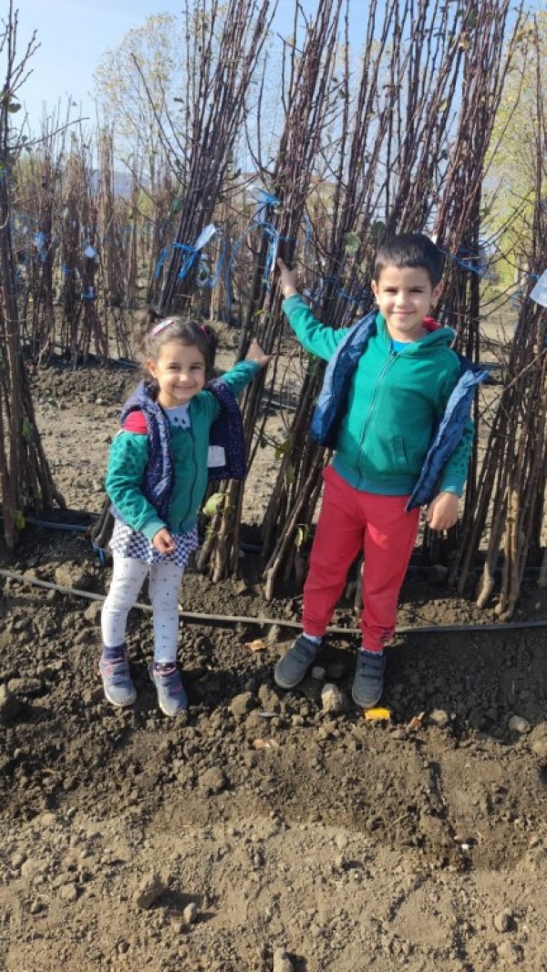 Доброволците от “Взаимопомощ“ отпразнуваха рождения ден на организацията като засадиха 18 дръвчета