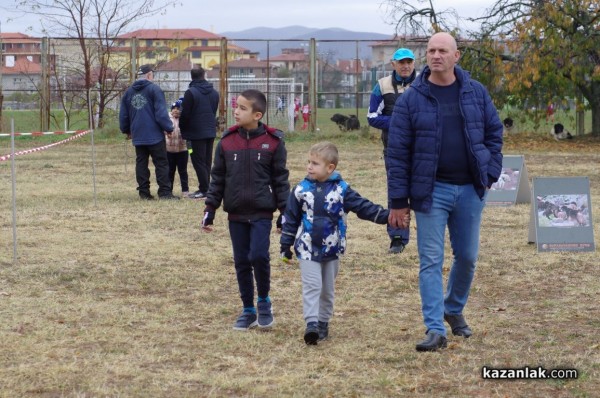 32 кучета се представиха в първата Национална изложба за каракачанки в Казанлък