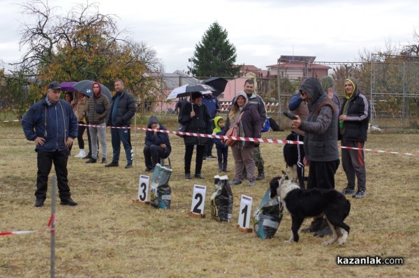 32 кучета се представиха в първата Национална изложба за каракачанки в Казанлък