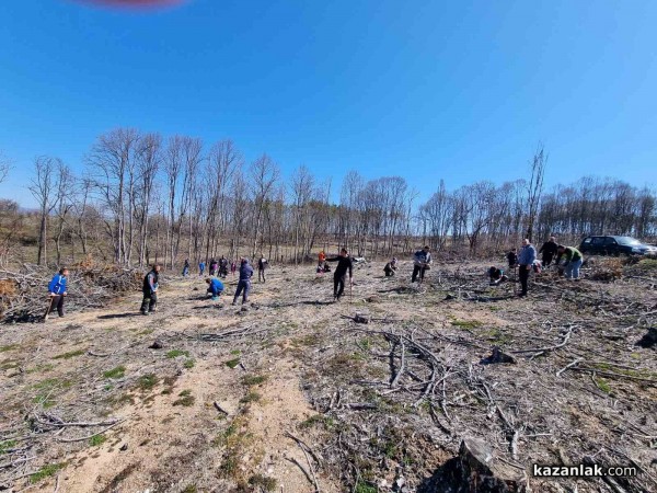 Държавно горско стопанство – Казанлък с благодарствен плакет