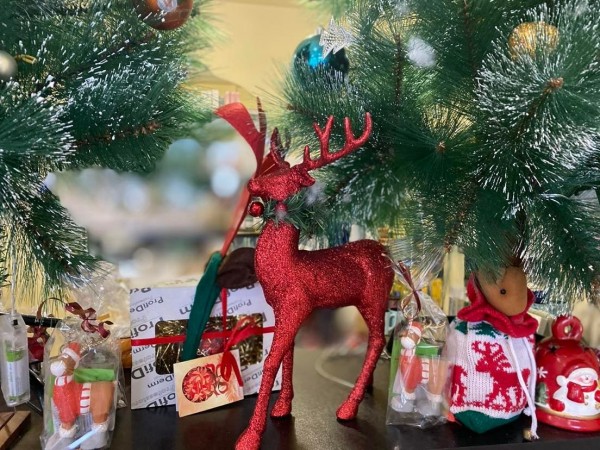 Коледа в клуб Хармония СПА - партита, подаръци и благородни каузи