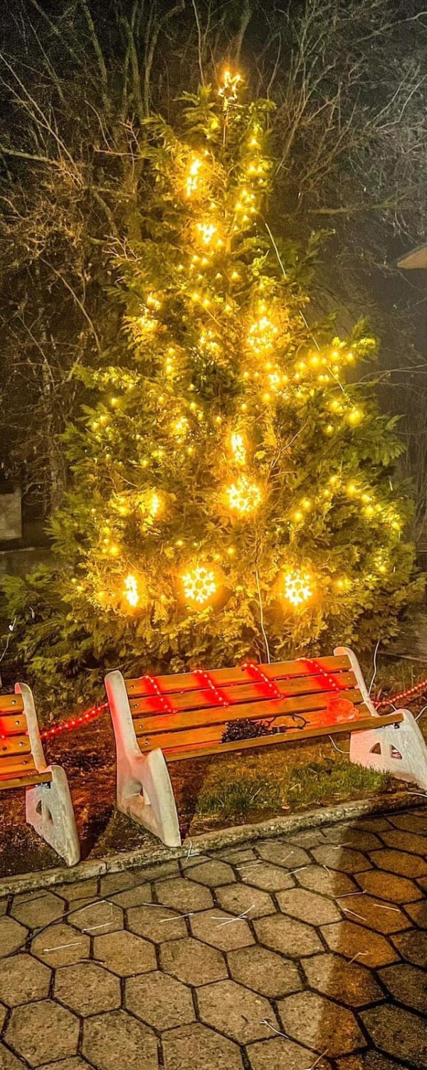 Кметът на с. Копринка лично изработи част от коледната украса в селото