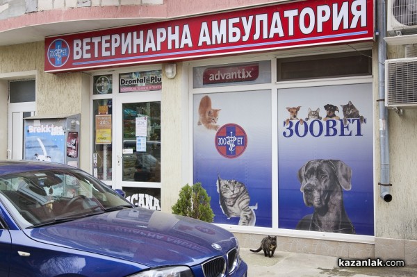 Екипът на ЗООВET: Честит професионален празник, колеги! Бъдете здрави и всеотдайни