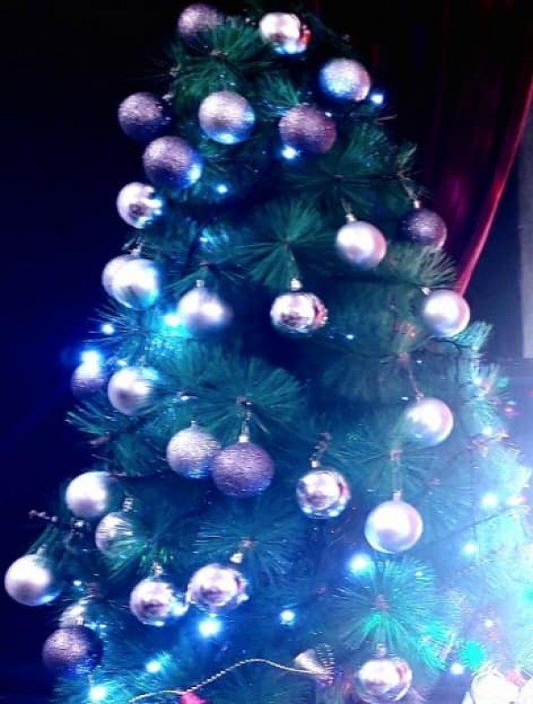 С концерт и коледари шипченци дадоха старт на коледните празници