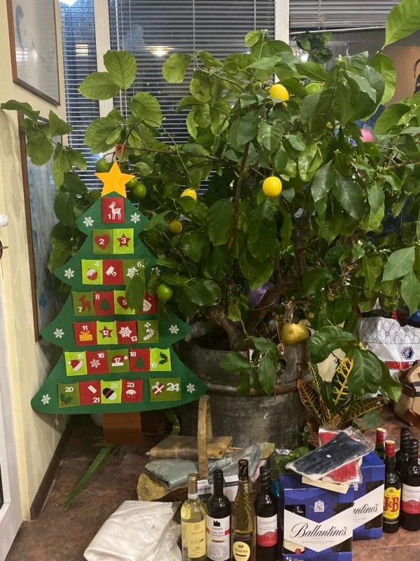 В клуб Хармония СПА - Купуваш истински пчелен мед и получаваш коледен подарък