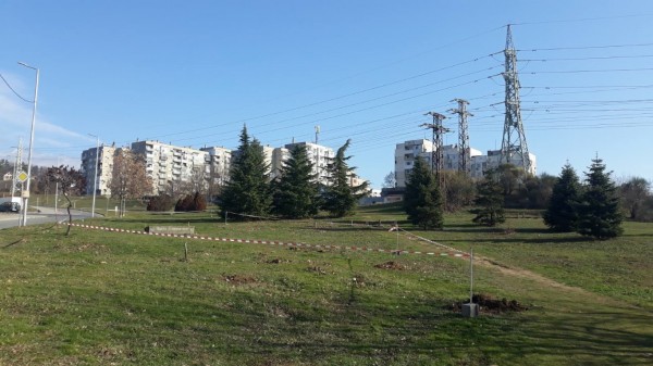 Можете да посадите елхата в Гората на Казанлъшките медици