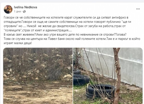 От Animal Hope – Kazanlak алармират за случаи на отровени бездомни кучета и котки в Павел баня