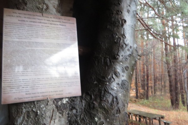 Туристи подновиха панорамния кръг на Саръяр и поставиха нова табела на Равна поляна 