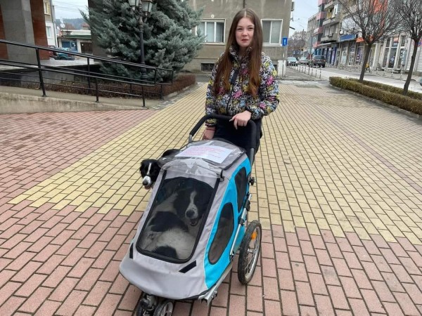 Десетки казанлъчани излязоха на протест срещу насилието над животни