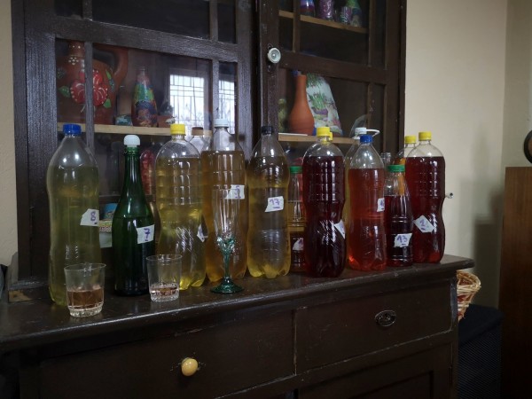 Конкурс-дегустация отличи най-добрите вина в Бузовград