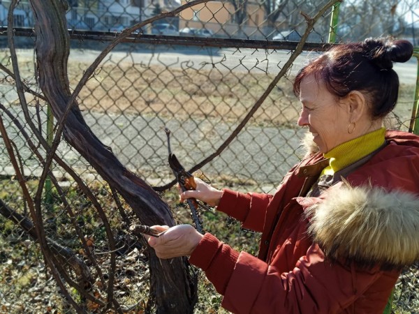 В ПГЛПТ отбелязаха празника на виното и любовта 