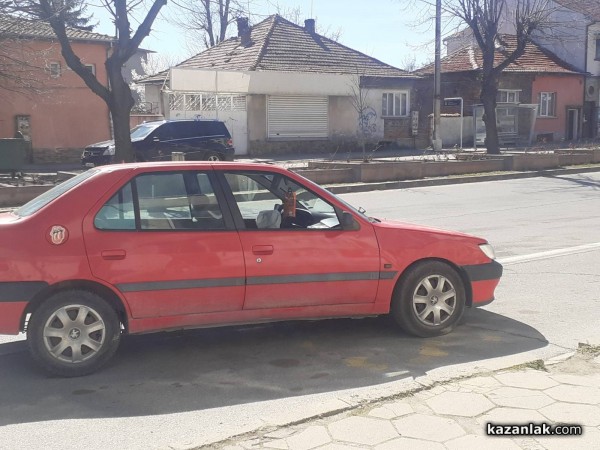 Шофьор се е блъснал в цветните кашпи и си е зарязал колата на спирка в Казанлък