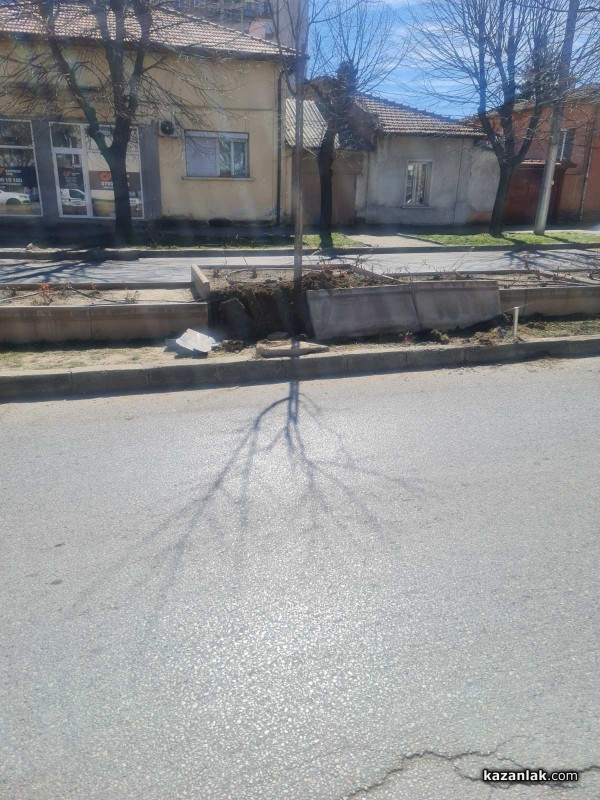 Шофьор се е блъснал в цветните кашпи и си е зарязал колата на спирка в Казанлък