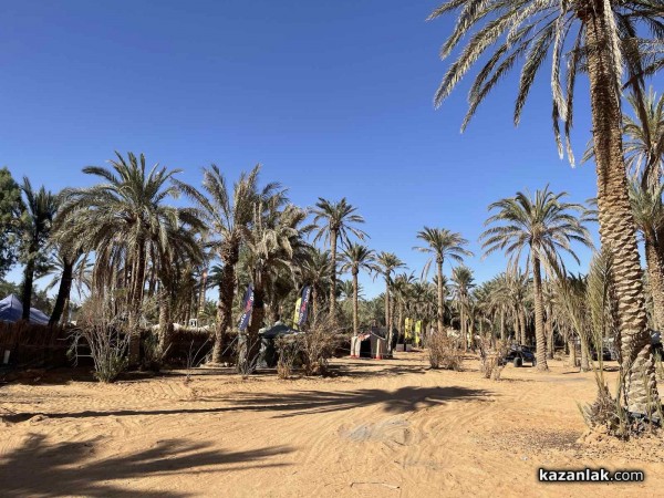 Дончо Цанев и Зорница Тодорова излязоха на ПЪРВА позиция в Тунис / Видео / Обновено