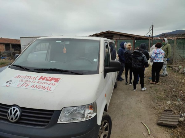 С грижа към бездомните животни 