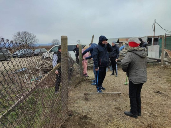 С грижа към бездомните животни 