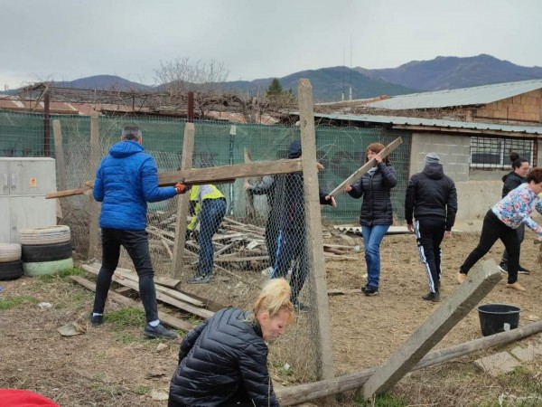 С грижа към бездомните животни 