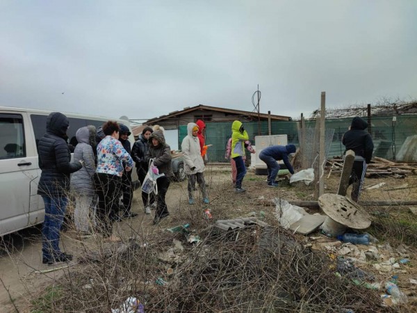 С грижа към бездомните животни 