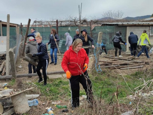 С грижа към бездомните животни 