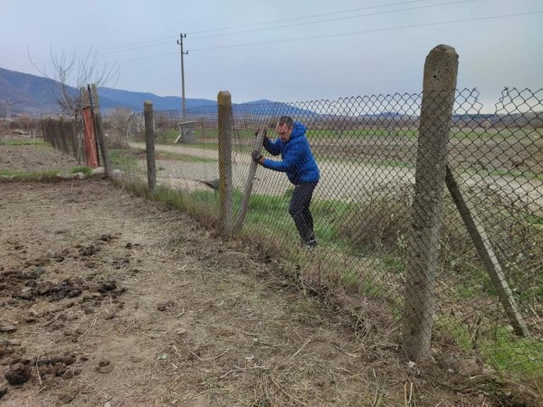 С грижа към бездомните животни 