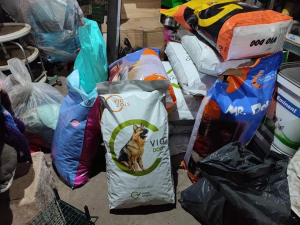 С грижа към бездомните животни 