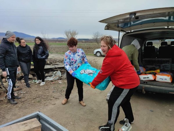 С грижа към бездомните животни 