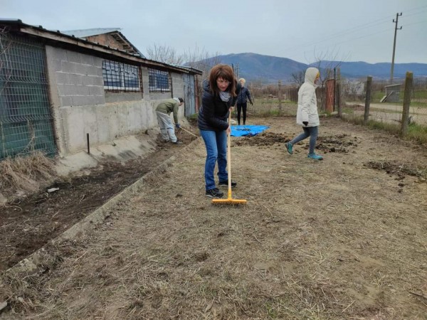 С грижа към бездомните животни 