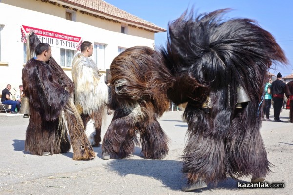 Над 1000 кукери от различни краища на страната идват за „Старци в Турия” тази събота 