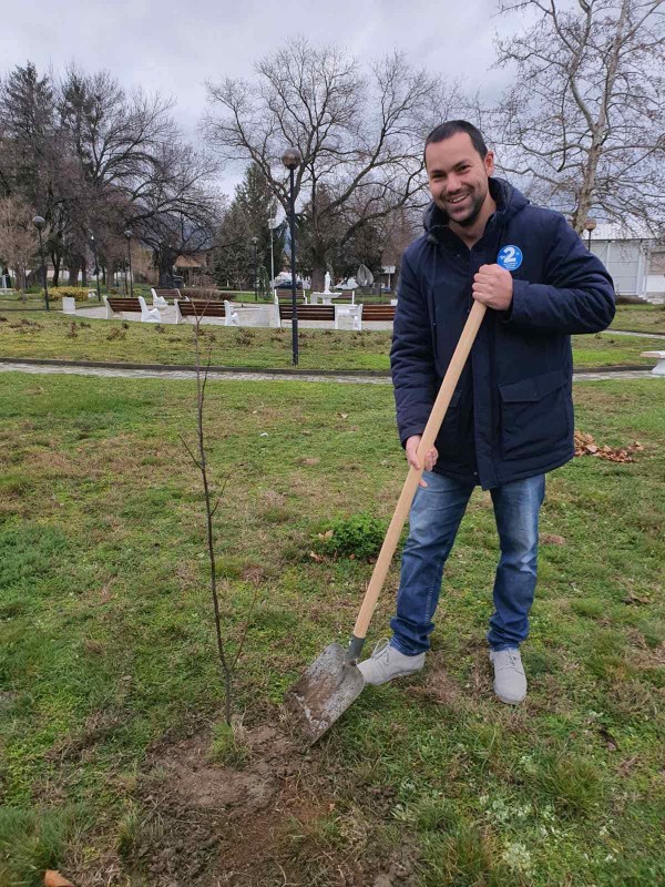 Засадиха ядливи кестени в парка в Крън