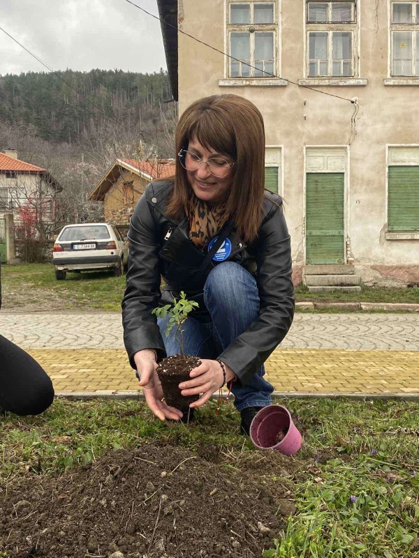 Роза Дамасцена садиха в Шипка в подкрепа на българския символ