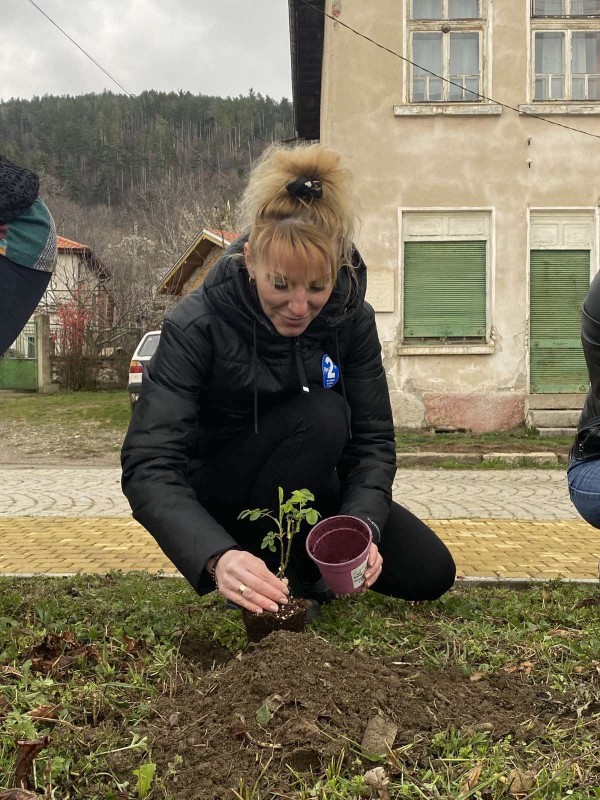 Роза Дамасцена садиха в Шипка в подкрепа на българския символ
