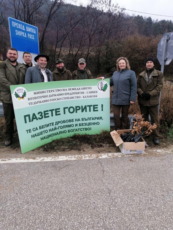 Залесяват с 1500 фиданки в казанлъшко за “Седмицата на гората“