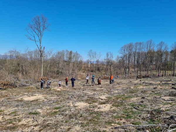 Залесяват с 1500 фиданки в казанлъшко за “Седмицата на гората“