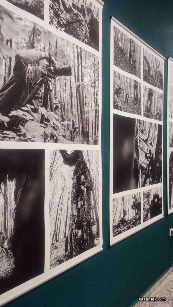 Фотографският тандем Александър Иванов и Илиян Мичев разкри житието на стария бук и отвъд