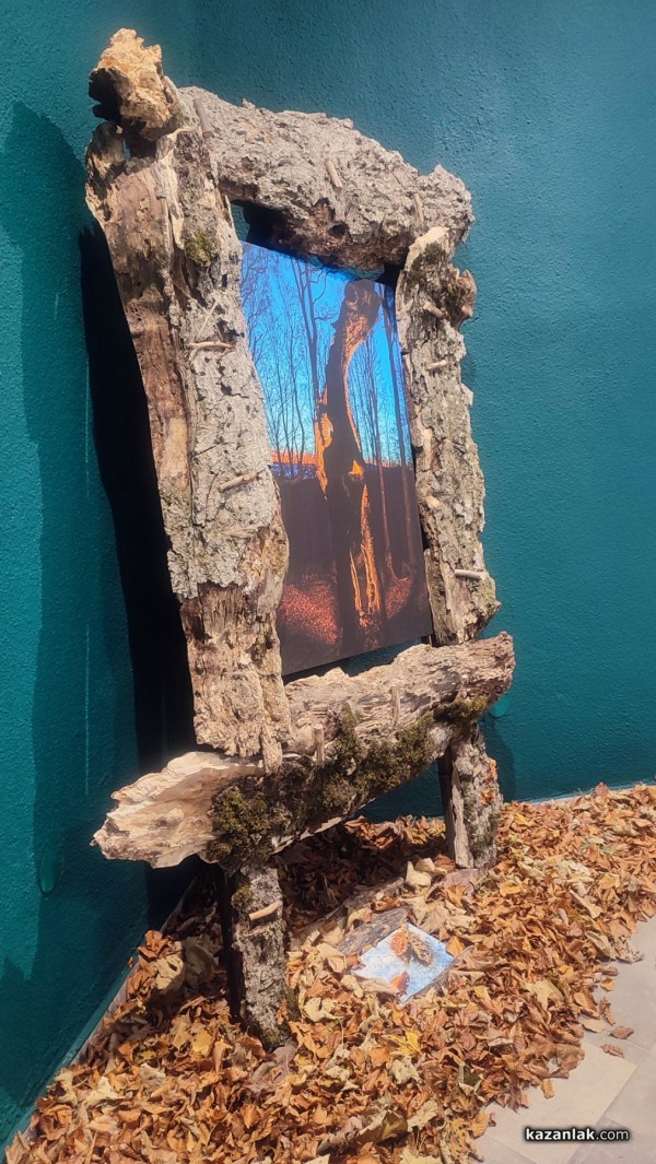 Фотографският тандем Александър Иванов и Илиян Мичев разкри житието на стария бук и отвъд