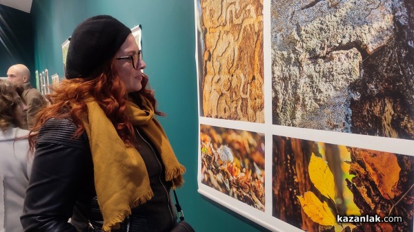 Фотографският тандем Александър Иванов и Илиян Мичев разкри житието на стария бук и отвъд