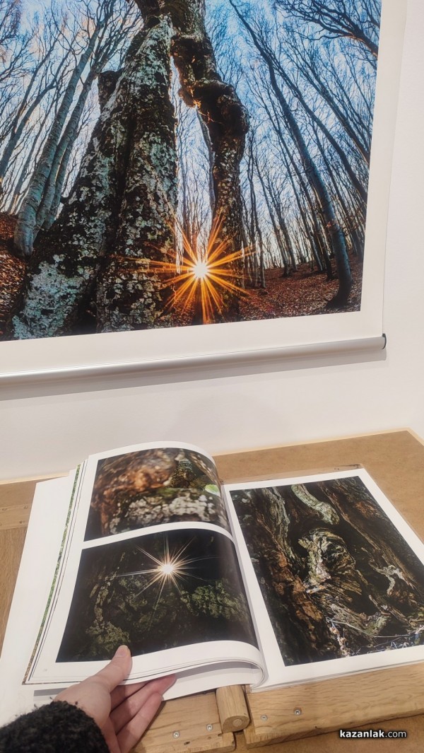 Фотографският тандем Александър Иванов и Илиян Мичев разкри житието на стария бук и отвъд