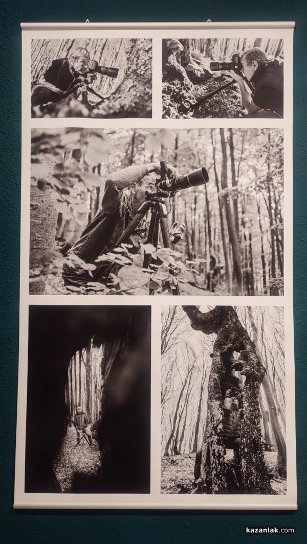 Фотографският тандем Александър Иванов и Илиян Мичев разкри житието на стария бук и отвъд