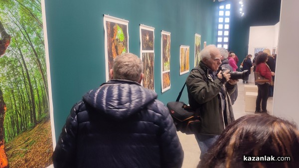 Фотографският тандем Александър Иванов и Илиян Мичев разкри житието на стария бук и отвъд