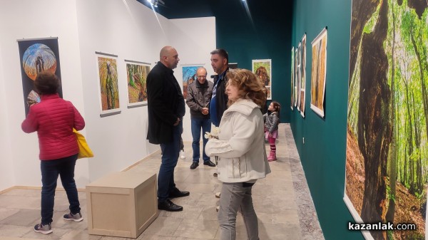 Фотографският тандем Александър Иванов и Илиян Мичев разкри житието на стария бук и отвъд