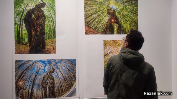 Фотографският тандем Александър Иванов и Илиян Мичев разкри житието на стария бук и отвъд